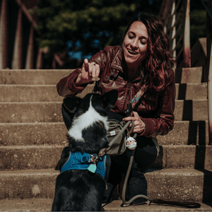 Classic Dog Walking Bag - Urban Olive