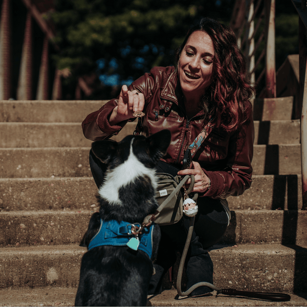 Classic Dog Walking Bag - Urban Olive